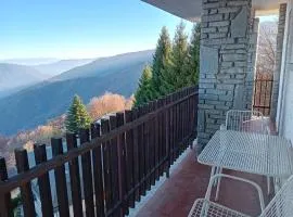 Panoramic Eagle