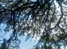 Rincón del Algarrobo - Casa de Campo