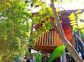 Parrot Tree House