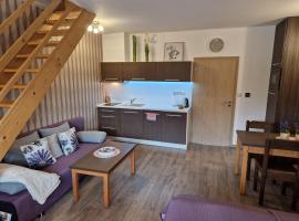 Apartmány Sophia 5 a 6, hotel en Velké Losiny