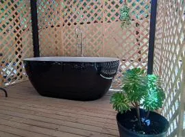 Cabañas Pinos del Mar