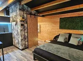Chalet cosy avec vue imprenable