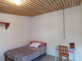 Casa de los gatos