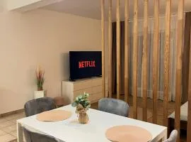 Central Loft Studio Târgoviște