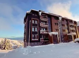 Vila Golija Peak Suites