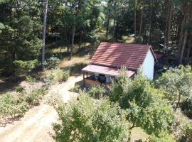 Wald&Wiesengeflüster Zechlinerhütte, Familienhotel in Rheinsberg
