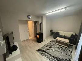 Charmant appartement F2 au coeur de Marmoutier