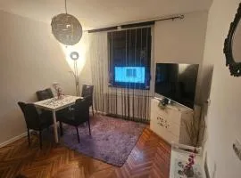 Apartman Mani
