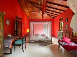 Dragon-Fly Home Hikka