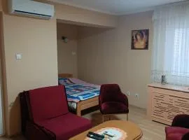 Apartman Putnik