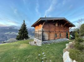 Chalet de caractère pour 12 pers, 165m², 5 chambres, cheminée, hammam, babyfoot, proche des Saisies. - FR-1-733-76, hotel in Crest-Voland