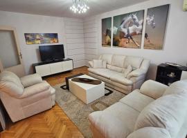 Apartman Maks 2, hotel s jacuzzi v destinaci Pirot