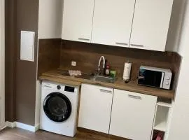 FeWo Wieko Plauen H1 3 OG links Family Appartement XL