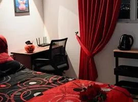The Red Room Alanis Residence