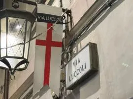 The First Luccoli Garibaldi Rolli