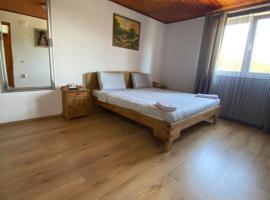 Casa Nicollae, hotel amb aparcament a Silvaşu de Sus