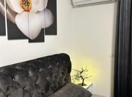 Apartman Sneznik