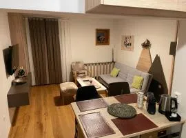 Apartman 212 - Aparthotel Vucko Jahorina - private host