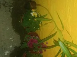 Mithu's Nest-Ur Holiday Abode