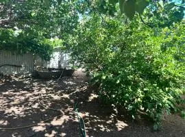 THE REAL CARTLEDGE AVE HOUSE ACCOMODATION, Whyalla