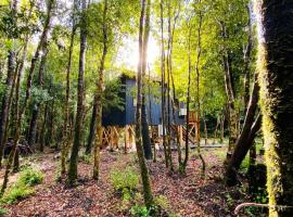 Cabañas Los Glaciares, hotel din Coñaripe