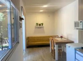 Los amancay del ventana Otto