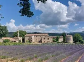 Le Cosy Luberon - Gite provençal avec piscine