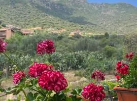 La quercia