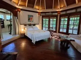 Jungle Cocoon
