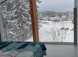 Beim Bergjosl, hotel in Kirchbach in Steiermark