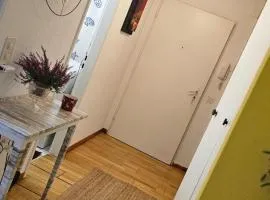 Mira140 Bern
