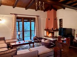 Del Mountain Chalet Arachova, horsk&aacute; chata v destin&aacute;cii Arachova