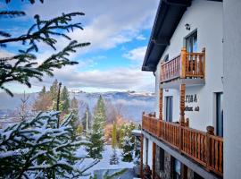 Alpina Panoramic, romantic hotel in Moisei