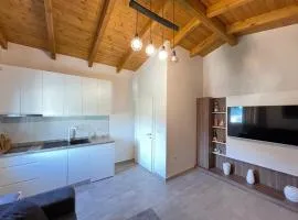 Oazi House