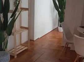 Cozy flat near Kazinczy downtown