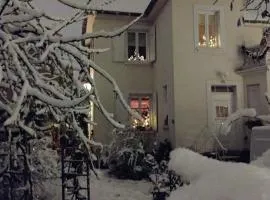 Gîte avec parking, au calme, entre Colmar-Riquewihr et Obernai ,marchés de Noël, 3 chambres, avec terrasse