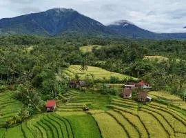 D'Ume Bendoel Homestay