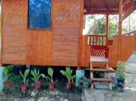 Lucia's Native House