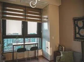 The Platinum Seoul Station - Free parking, transportation hub, Seoul Station, Chungjeongro Station, various hot places, high-rise view