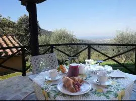 Podere Bagnoli