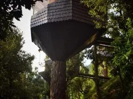 Treecasa Resort
