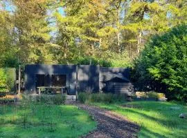 Luxury and Wellness in the Forest -- ALL-IN