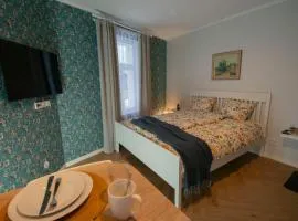 Karlova Comfort Stay & Free Parking