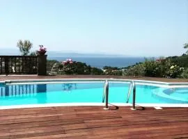 Luxury Villa Nefeli in Skiathos featuring an Exclusive Private Pool Oasis