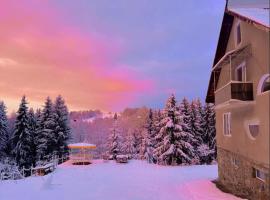 Cabana Zuz, hotel din Petroşani