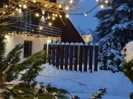 Apartament Willa Pod Sosnami Zator Przeciszów