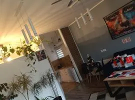 Apartament przy Białym Koniu