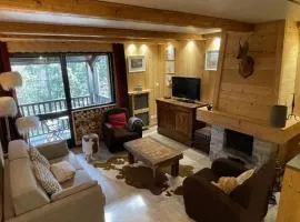 Beautiful T2 near the slopes