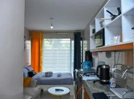 Mex Homes Studio