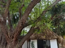 Cabañas Camping Ria Celestun